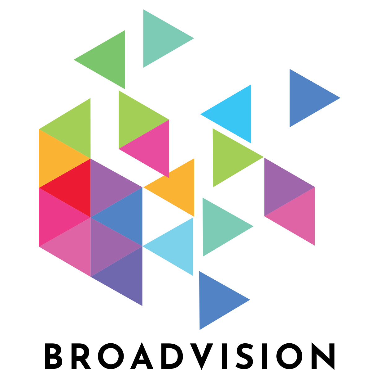 BroadVision ~ Logo
